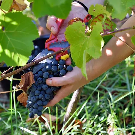 Le Valadin-gite 3 Etoiles *