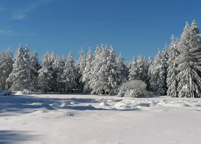 Le Valadin-gite 3 Etoiles *