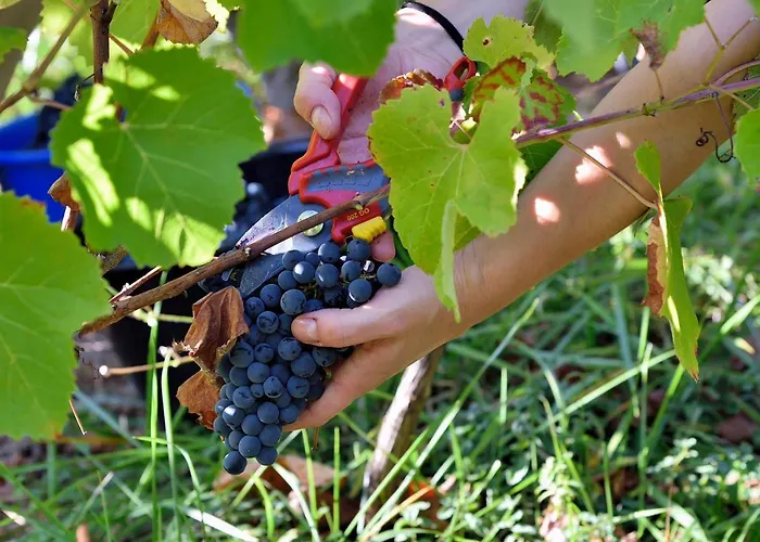 Le Valadin-gite 3 Etoiles *